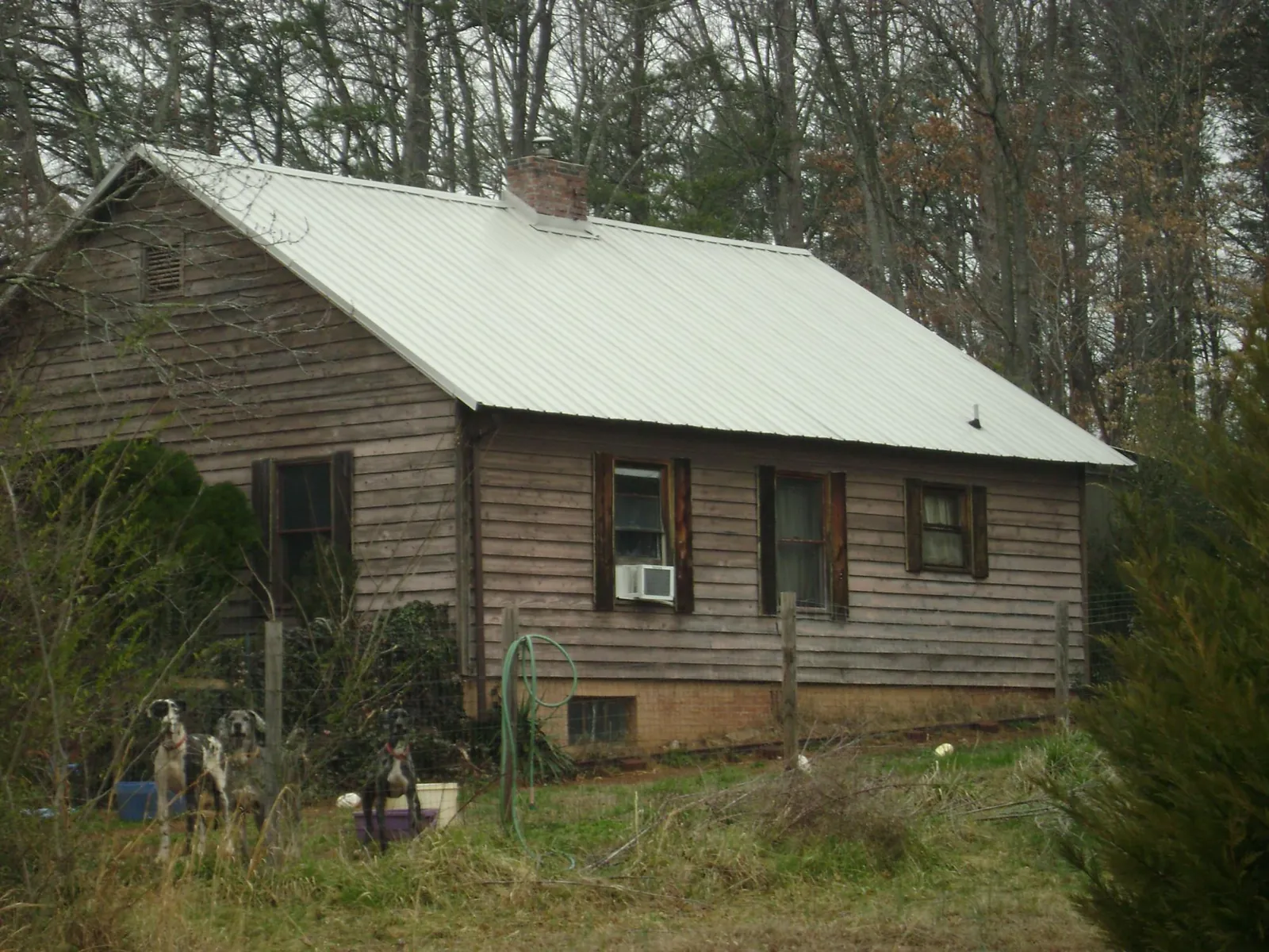 White metal roof on an old wood sided farmhouse, from a Asphalt Shingle Roof Repair job in Ellicottville